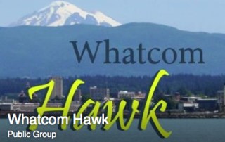 whatcom hawk