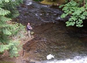 11705795_10152956899965978_5654626345600668452_o