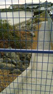 11722181_10152960183790978_199958796458384265_o