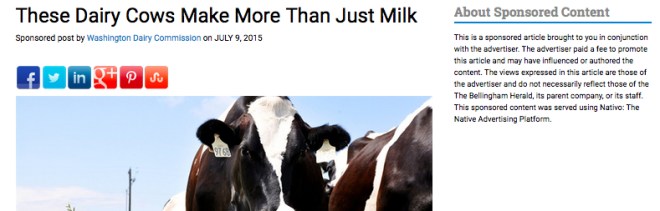 dairy cows sponsored wide