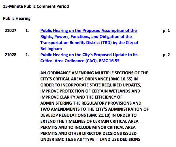 bellingham city council