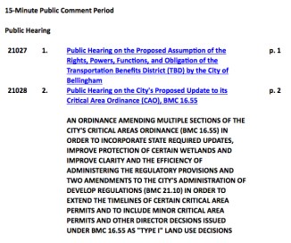 bellingham city council