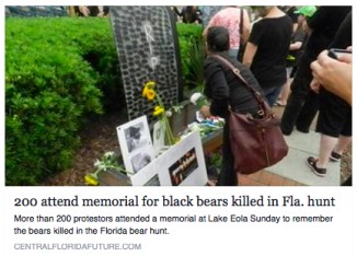 memorial for bear