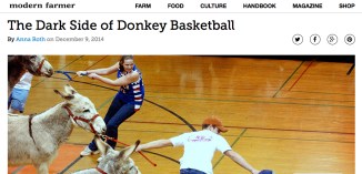 dark side donkey basketball