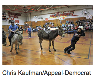 lindhurst game donkey pulling