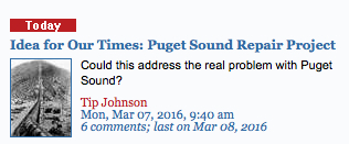 puget sound repair tip