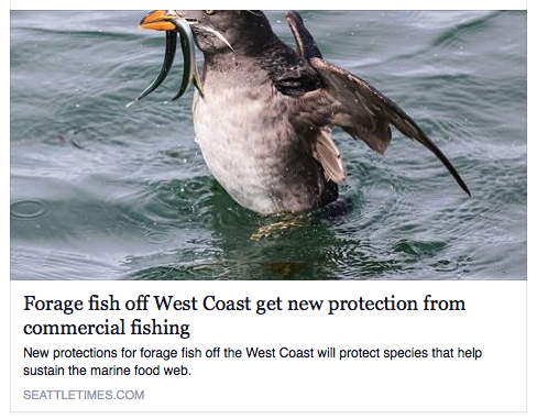 forage fish fellerman