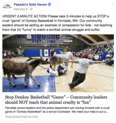 Pasado's Safe Haven action alert 02092016