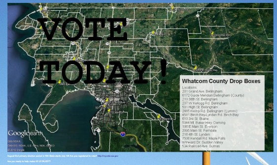 bellingham politics vote today