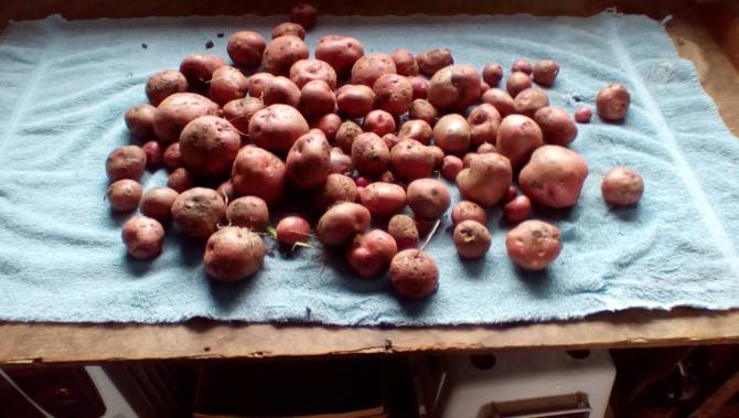 13913760_10206944232707605_283952525907176963_o