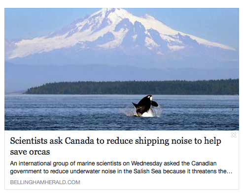 scientists shipping noise herald