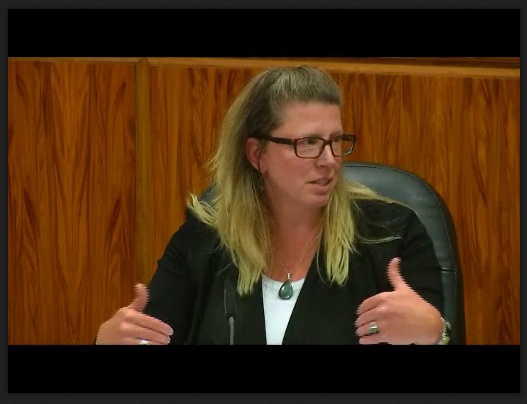 april barker cob committee of the whole pickett